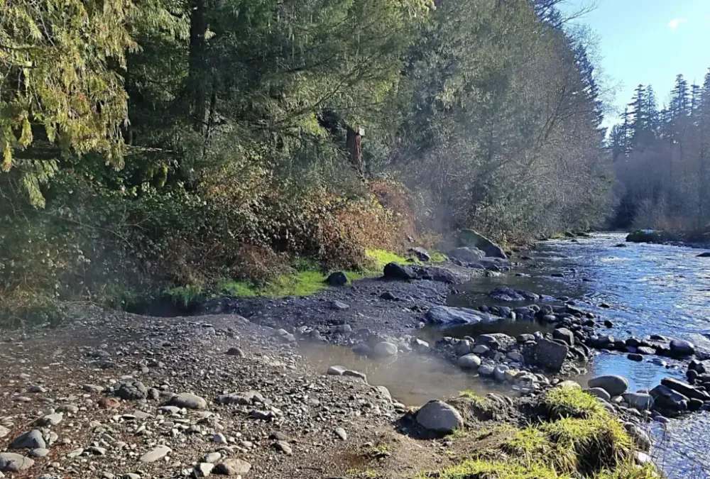 McCredie Hot Springs